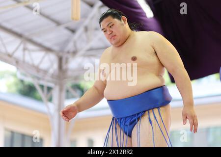 Tokio Japan. April 2024. Onosato, 15. APRIL 2024 - Sumo: Jährliches Sumo-Turnier, das dem Yasukuni-Schrein in Tokio gewidmet ist. Quelle: Naoki Morita/AFLO SPORT/Alamy Live News Stockfoto