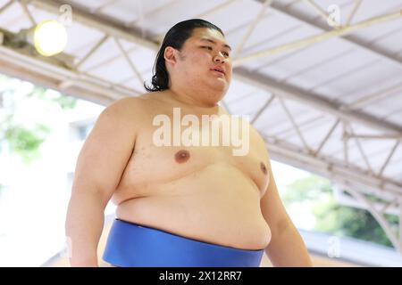 Tokio Japan. April 2024. Onosato, 15. APRIL 2024 - Sumo: Jährliches Sumo-Turnier, das dem Yasukuni-Schrein in Tokio gewidmet ist. Quelle: Naoki Morita/AFLO SPORT/Alamy Live News Stockfoto
