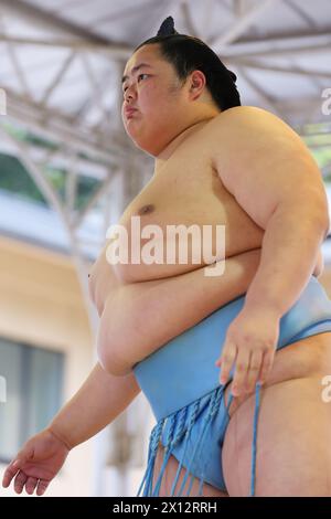 Tokio Japan. April 2024. Kotonowaka, 15. APRIL 2024 - Sumo: Jährliches Sumo-Turnier, das dem Yasukuni-Schrein in Tokio gewidmet ist. Quelle: Naoki Morita/AFLO SPORT/Alamy Live News Stockfoto