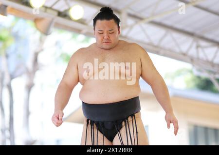 Tokio Japan. April 2024. Asanoyama, 15. APRIL 2024 - Sumo: Jährliches Sumo-Turnier, das dem Yasukuni-Schrein in Tokio gewidmet ist. Quelle: Naoki Morita/AFLO SPORT/Alamy Live News Stockfoto