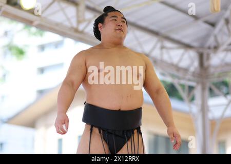 Tokio Japan. April 2024. Wakamatoharu, 15. APRIL 2024 - Sumo: Jährliches Sumo-Turnier zum Yasukuni-Schrein in Tokio, Japan. Quelle: Naoki Morita/AFLO SPORT/Alamy Live News Stockfoto