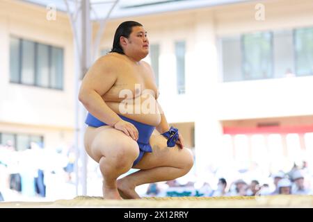 Tokio Japan. April 2024. Onosato, 15. APRIL 2024 - Sumo: Jährliches Sumo-Turnier, das dem Yasukuni-Schrein in Tokio gewidmet ist. Quelle: Naoki Morita/AFLO SPORT/Alamy Live News Stockfoto