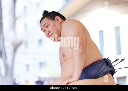 Tokio Japan. April 2024. Hosyoryu, 15. APRIL 2024 - Sumo: Jährliches Sumo-Turnier zum Yasukuni-Schrein in Tokio, Japan. Quelle: Naoki Morita/AFLO SPORT/Alamy Live News Stockfoto