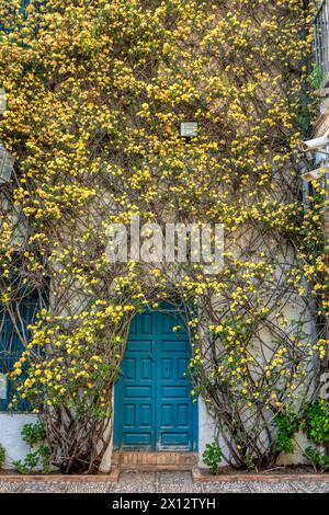 Cordoba, Andalusien, Spanien. Fassade mit Blumen und blauer Tür in einem typisch andalusischen Innenhof Stockfoto