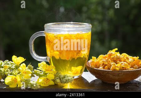 Pflanzliches medizinisches Teegetränk aus Verbascum thapsus, dem großen Maulein, dem großen Maulein oder dem gewöhnlichen Maulein. Gelbe getrocknete Teeblüten. Stockfoto