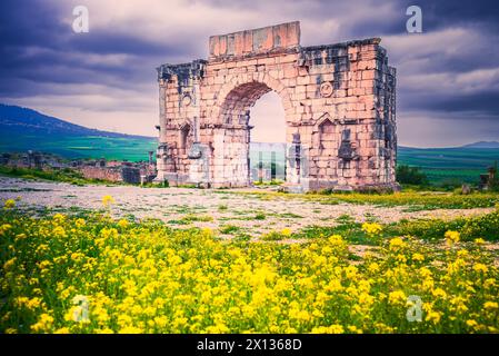 Volubilis, Marokko. Triumphbogen von Caracalla in der antiken römischen Stadt Nordafrika, Provinz Mauretanien. Stockfoto