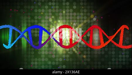 Bild des dna-Strähnens über hellen Flecken auf schwarzem Hintergrund Stockfoto
