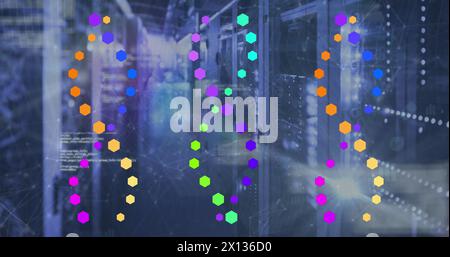 Bild der Datenverarbeitung über dna-Strängen und Serverraum Stockfoto