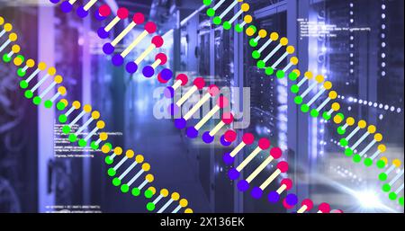 Bild von dna-Strängen, die sich drehen und die Datenverarbeitung über Computerservern durchführen Stockfoto