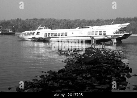 Petronell am 12. Oktober 1990: Auf dem Weg von Bratislava nach Wien lief ein Tragflächenboot auf den Boden. Zwei der 48 Passagiere wurden verletzt. - 19901012 PD0006 - Rechteinfo: Rechte verwaltet (RM) Stockfoto