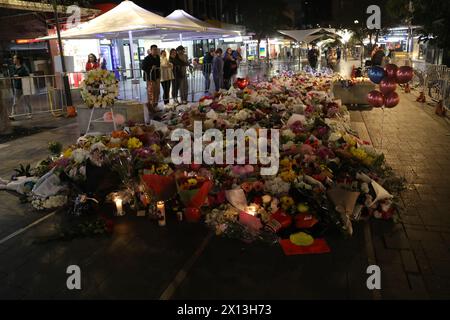 Sydney, Australien. April 2024. Der Tatort von Westfield Bondi Junction ist immer noch von der Polizei gesperrt und die Leute lassen Blumen im Einkaufszentrum gegenüber, nachdem ein geistig kranker Messerangreifer, der 40-jährige Joel Cauchi, einen Amoklauf begangen hat und 6 Menschen getötet hat. Fotos, die am Montag, 15. April gegen 21:00 Uhr aufgenommen wurden. Richard Milnes/Alamy Live News Stockfoto