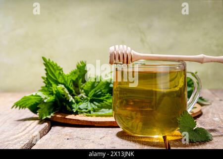 Brennnessel Tee heißes Pflanzengetränk in transparentem Glasbecher. Natürlicher Bio-Kräutertee ohne Koffein, hergestellt aus rohen Bio-Brennnesselblättern. Alternative zu ihr Stockfoto