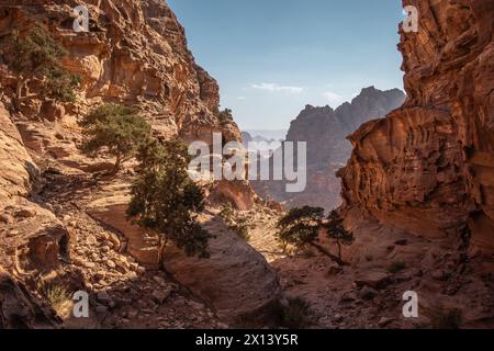 Blick auf den Rocky Sandstone Canyon im jordanischen Petra. Landschaft des Nahen Ostens im Freien. Spektakuläre Stony Cliffs in Jordanien. Stockfoto