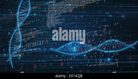 Bild von dna-Strängen mit Datenverarbeitung Stockfoto