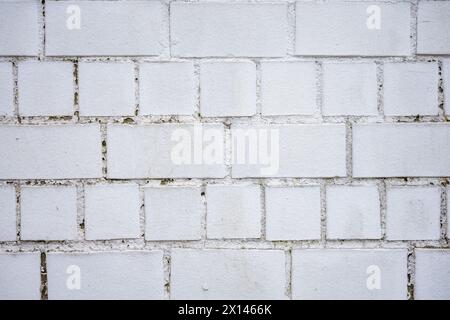Eine weiße Ziegelmauer bei Tageslicht und bewölktem Wetter. Stockfoto