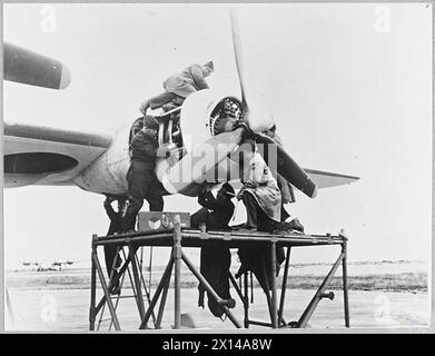 Das Foto zeigt eine tschechische Wartungstruppe der Royal Air Force, die den Motor eines Liberator-Flugzeugs während des dritten Jahrestages des Geschwaders im Jahr 1943 anpasst. Stockfoto
