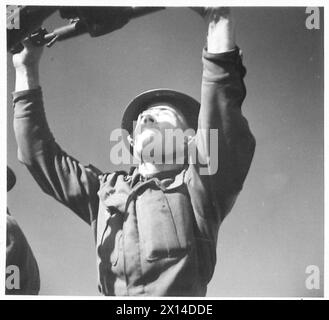 5. ARMEE: ANZIO BRÜCKENKOPF Eine BOFORS-GESCHÜTZCREW - Nr. 1 auf der Pistole ist für die Feuerkontrolle zuständig, er ist Bdr. J. D. Lavis von 66 Eaton Road, Brynhfryd, Swansea British Army Stockfoto