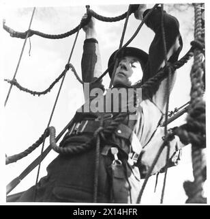 ARMEE-TRAINING KORPS-PERSONAL DURCHLAUFEN Eine HÄRTERE DEMONSTRATION, die zwischen zwei Bäumen der britischen Armee hängt Stockfoto