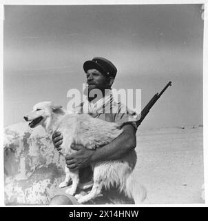 DIE SCHLACHT VON GAZALA, MAI-JUNI 1942: Ein Soldat der französischen Fremdenlegion hält Fritz, seinen Maskottchen-Hund, in Bir Hakeim. Fritz wurde 1940 von den Truppen des Bataillons in Narvik gefangen genommen und blieb bei ihnen. Foto, aufgenommen um die Zeit der Schlacht von Bir Hakeim am 12. Juni 1942 Stockfoto