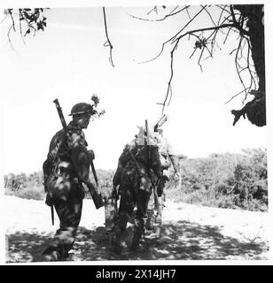 ITALIEN: FÜNFTE ARMEE: ANZIO BRIDGEHEADPTE. JOHNSON - VERSTÄRKUNG DER QUEENS - der Bren-Träger bringt die Männer zum Hauptquartier der Kompanie, und von da an müssen sie zu den vorderen Positionen der British Army gehen Stockfoto