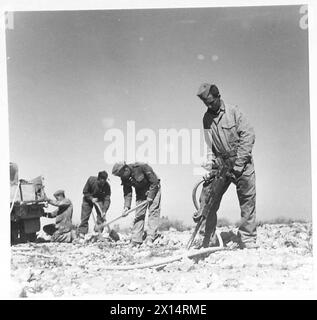 BILDER AUS DER westlichen WÜSTE, britische Armee Stockfoto