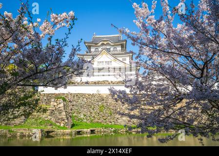 Kishiwada Castle, eine japanische Burg in Kishiwada, Osaka, Japan. Stockfoto