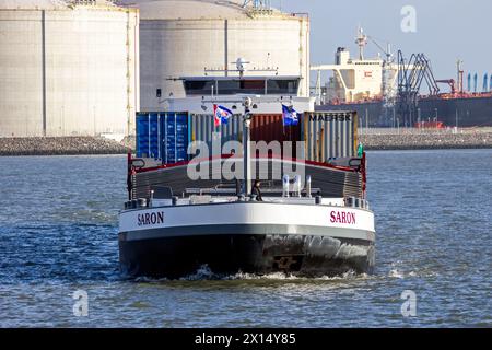 Binnenschiff, das im Hafen von Rotterdam ankommt. Niederlande - 13. Januar 2012 Stockfoto