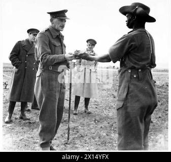 BECHUANAS IM PIONIERKORPS - wenn ein Tier getötet wird, ist es ein Brauch der Bechuana, Nieren, Zunge und andere erlesene Stücke dem Kopfmensch zu präsentieren. Hier präsentiert Corporal Molebi, der Camp Cook, die O.C. mit einem Teller Zungen, etc. British Army Stockfoto