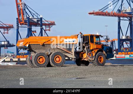 Volvo A30E knickgelenkter Muldenkipper auf der Baustelle von Maasvlakte 2 im Hafen von Rotterdam. Januar 2012 Stockfoto