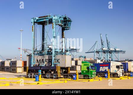 Streddle Carrier, der einen Container auf einem LKW platziert, ein Schiffsterminal im Hafen von Rotterdam. Niederlande - 7. September 2012 Stockfoto