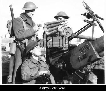 ITALIEN: FÜNFTE ARMEE: ANZIO BRIDGEHEADPTE. JOHNSON - VERSTÄRKUNG DER QUEENS - PTE. Johnson vergleicht einen Clip seiner Munition mit dem Clip, der von der Crew der britischen Armee benutzt wurde Stockfoto