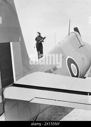 US-FLUGZEUGE FÜR DIE BRITISCHE FLOTTENFLOTTE. OKTOBER 1943 IN DEN VEREINIGTEN STAATEN. DIE FLOTTENFLOTTE DER ROYAL NAVY SETZT DIE NEUESTEN FLUGZEUGTYPEN EIN, DIE IN DEN USA GEBAUT WURDEN. EINIGE DER FLUGZEUGE, DIE SICH IN DER PRÜFUNG, VERPACKUNG UND VERSAND AUS DEN USA BEFINDEN. - Ein Wren überprüft einen Grumman Hellcat Stockfoto