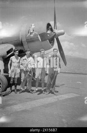 WIR SERVIEREN MIT DEN ERHABENEN. APRIL 1945, AN BORD DES BRITISCHEN FLUGZEUGTRÄGERS HMS ILLUSTROUS, DER IN OSTGEWÄSSERN EINGESETZT WIRD. - Lieut (A) J H Clarke, RNZNVR, Otorohanga, Neuseeland und Wartungsteam. Von links nach rechts: LAMA James McKenzie, Edinburgh; Petty Officer RM, Wilfred Price, Brecon, Wales; LAME A S Townsend, Hope, Derbyshire Stockfoto