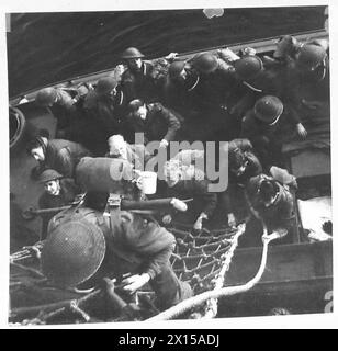 DIE OPERATION FACKEL, NOVEMBER 1942 – Truppen der britischen 78. Infanteriedivision, die von einem Truppenschiff aus mit Hilfe von Scrambling-Netzen an Land in Algier gehen, 9. November 1942 British Army, British Army, 78. Infanteriedivision Stockfoto