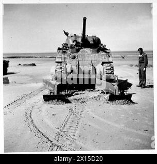 SONDERAUFTRAG FÜR DIE 79. PANZERDIVISION - Allgemeine Ansicht der Pflugfront der britischen Armee Stockfoto