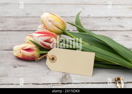 Strauß aus gestreiften Tulpen in Rot, Gelb und weiß und Karte mit Kopierraum auf Holzboden Stockfoto