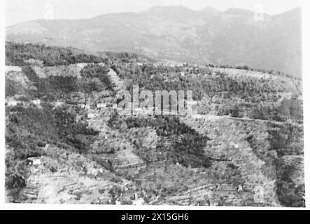 FÜNFTE ARMEE : VERSCHIEDENE - (VEREINIGT) die Berge N.W. von Pistoia, die die gotische Linie enthält. Um sein Feuerfeld zu verbessern und die Schwierigkeit eines Frontalangriffs zu erhöhen, hat der Feind Bäume, Weinstöcke und Büsche auf dem Hügel der britischen Armee niedergeschlagen Stockfoto