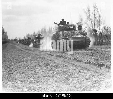 Trägerinfanterie und Panzer dringen durch Weinberge und Obstgärten in der Nähe von Conselice vor, um feindliche Truppen während der Operationen der 8. Armee zu verfolgen. Stockfoto