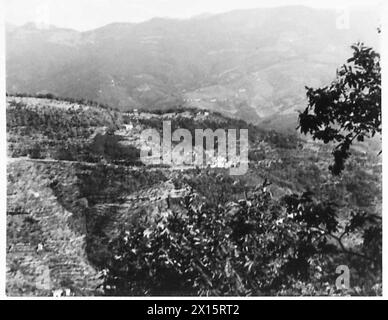 FÜNFTE ARMEE : VERSCHIEDENE - (VEREINIGT) die Berge N.W. von Pistoia, die die gotische Linie enthält. Um sein Feuerfeld zu verbessern und die Schwierigkeit eines Frontalangriffs zu erhöhen, hat der Feind Bäume, Weinstöcke und Büsche auf dem Hügel der britischen Armee niedergeschlagen Stockfoto