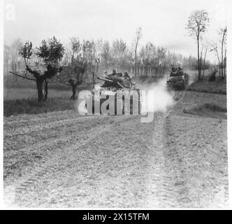 Trägerinfanterie und Panzer der 8. Armee dringen während Operationen über dem Santeno durch Weinberge und Obstgärten in der Nähe von Conselice vor und greifen feindliche Stellungen an. Stockfoto