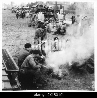 15. SCHOTTISCHER VORMARSCH AUF TILBURG. - Crews der 6. Garde, die sich zum Abendessen zusammenbrauen, britische Armee, 21. Armeegruppe Stockfoto