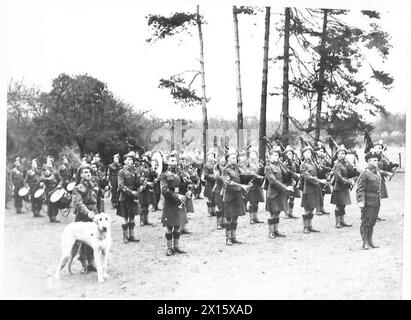 Die Pipe Band of the London Irish Rifles paradiert in der Nähe von Tunbridge Wells im Eastern Command, begleitet von ihrem Maskottchen, einem irischen Wolfshund, der britischen Armee. Stockfoto