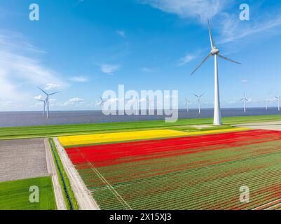 Aus der Vogelperspektive auf eine wunderschöne Landschaft voller farbenfroher Tulpen und Windturbinen Stockfoto