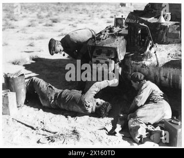 DIE NEUESTEN BILDER AUS DER westlichen WÜSTE NACH DEM BRITISCHEN VORMARSCH: Panzerbesatzungen reinigen und reparieren ihre Panzer nach der Aktion und bereiten sie für die nächste britische Armee vor Stockfoto