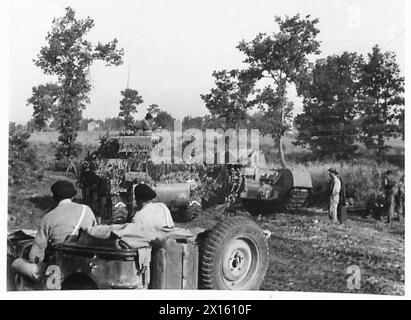Panzer der Achten Armee dringen während des Durchbruchs der Hitlerlinie durch ein bewaldetes Gebiet in der Nähe von Aquino vor. Stockfoto