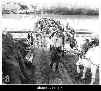 ITALIEN : FÜNFTE ARMYCROSSING DES GARIGLIANO RIVER - italienische Soldaten und Maultiere der 14 Gruppe Cavalieria besteigen ein Panzerfloß, um zum nördlichen Ufer des Garigliano British Army zu überqueren Stockfoto