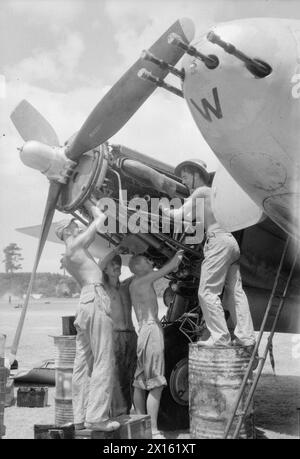 Die Bodenbesatzung der No. 110 Squadron RAF bedient die Steuerbordmaschine eines de Havilland Mosquito FB Mark VI in Joari, Indien, einschließlich der führenden Aircraftmen Crandon und Simpson, Corporal Jackson und Aircraftman King. Fotografisches negativ der Royal Air Force. Stockfoto