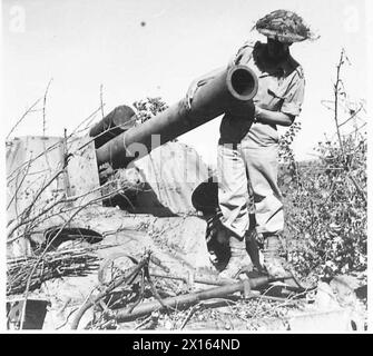 8. ARMEE: VERSCHIEDENE - diese deutsche Selbstfahrkanone, die bei Cerasolo gefangen genommen wurde, ist fast doppelt so groß wie unsere Priest s.P.-Kanone. Das Kaliber beträgt ca. 150 mm und die Pistole ist neu, in gutem Zustand und funktionsfähig. Die Größe der Waffe kann anhand des Mannes gemessen werden, der neben ihr steht, British Army Stockfoto