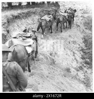 EINE INDISCHE BERGEINHEIT IM TRAINING - kein mechanisches Fahrzeug konnte auf dieser Strecke vorbeifahren British Army Stockfoto