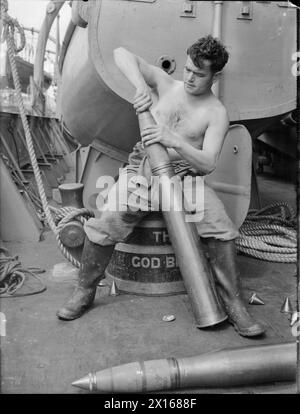 Ein BESUCH AUF EINEM FLUGABWEHRSCHIFF, ENGLAND, 1940 - ein ab (Able Seaman) verschmilzt eine 4-Zoll-Schale, während er auf der „Grog Tub“ an Bord dieses Flugabwehrschiffs, England 1940, sitzt Stockfoto